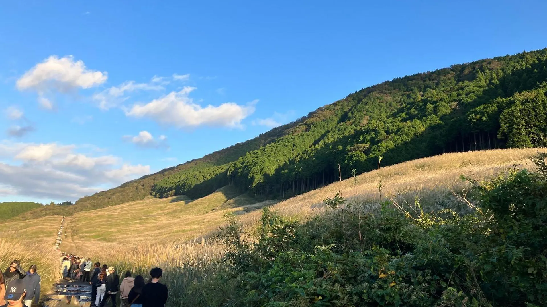 温泉宿 停車場 箱根町 日本